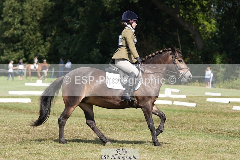 250823A-134950-31084 - Arena B