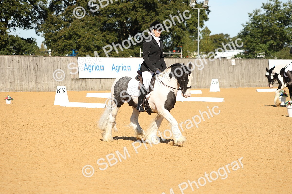 SBM_18860 - D10 - Small Tour Championship - Prelim 2