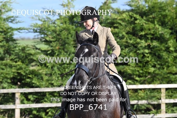 BPP_6741 - RING 1  (RIDDEN HORSES / IN HAND / VETERAN ETC)