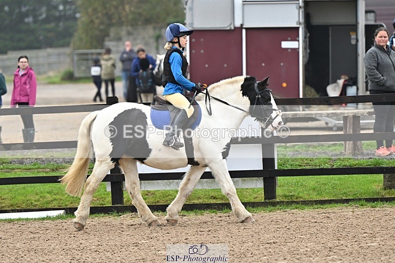 241110-095148-00104 - 40cm Showjumping