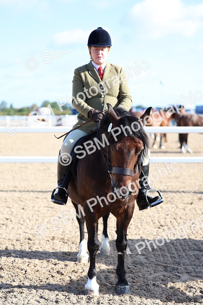 SBM_08921 - Class 302 - Ridden M&M - Large Breeds