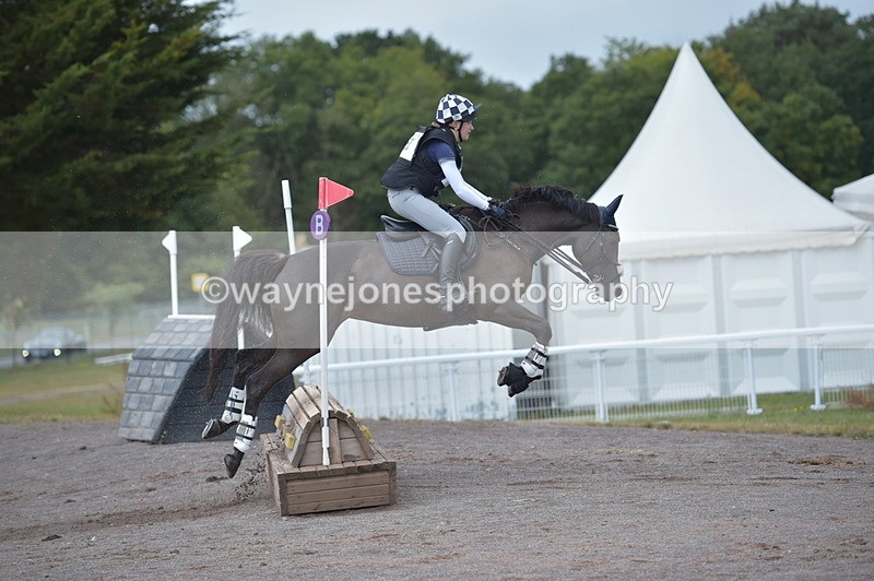 NGP_2361 - XC Time 11:20 to 11:36