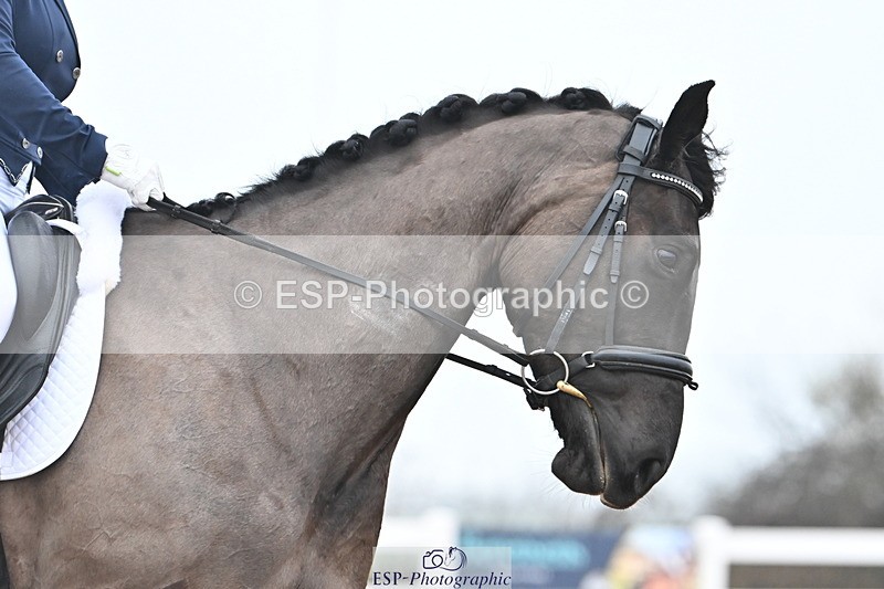 240217A-115150-02037 - 142-Helen.Lees-Legend.of.Zorro