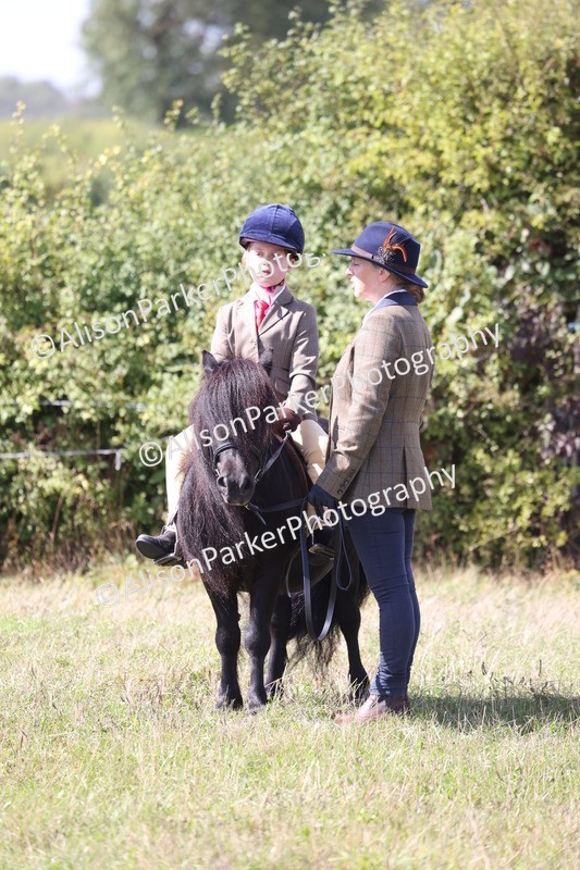 20260906-2797 - Class 25 - Absolute Beginners Pony