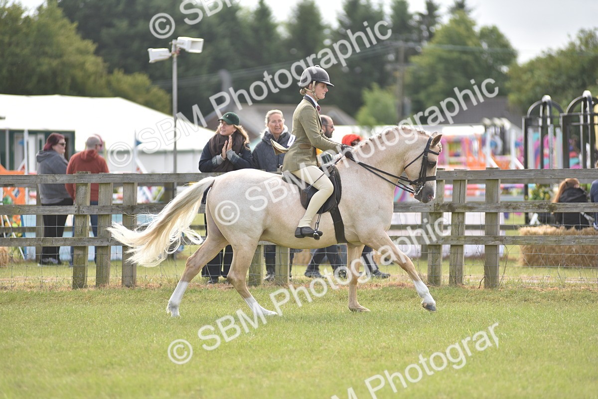 SBM_12158 - Class 110-112 - LIHS BSPS Performance Pones