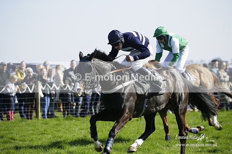PtP 190322 524 - Wilton Hunt PtP Milborne St Andrew 19/03/22