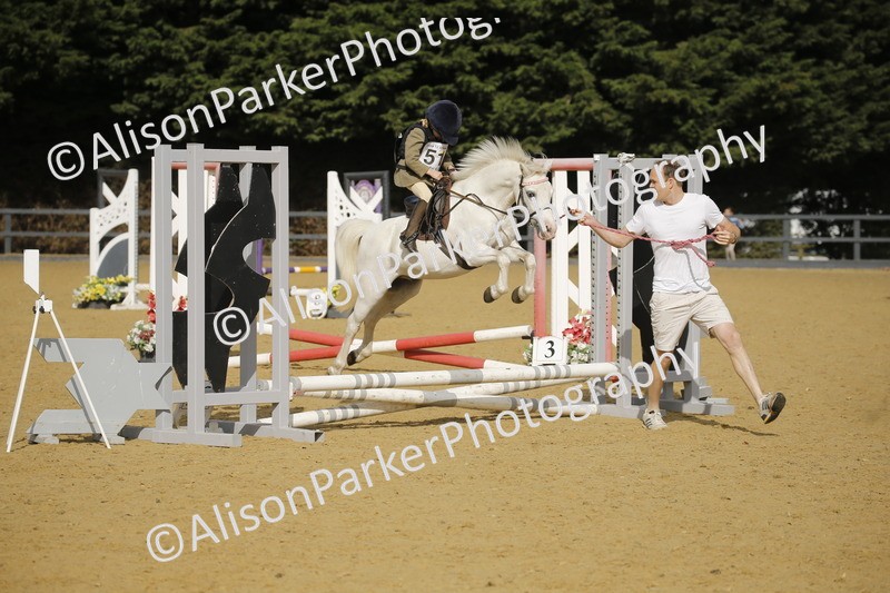 20250622-1273 - 40cm