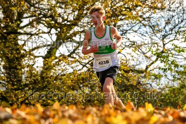 NatRel25-914565 - Young Male Set Two