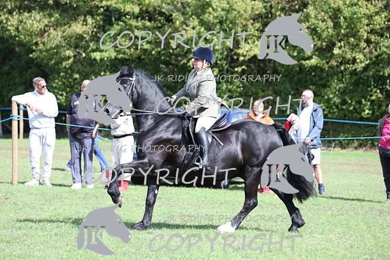 APP_3554 - Class 12 M&M ridden