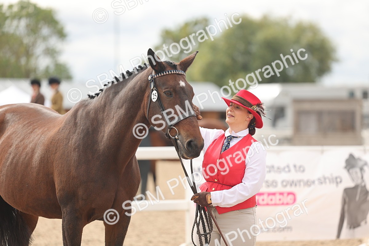 SBM_16987 - Class 312 - IH Competition Horse-Pony