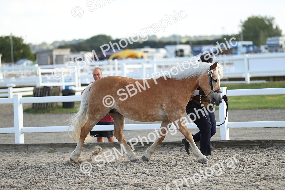 SBM_08912 - Class 29 IH Veteran Pony