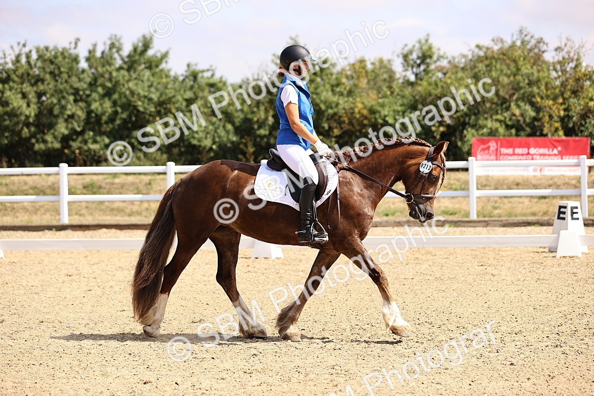 SBM_006531 - Intro 3 - 9.46-10.46