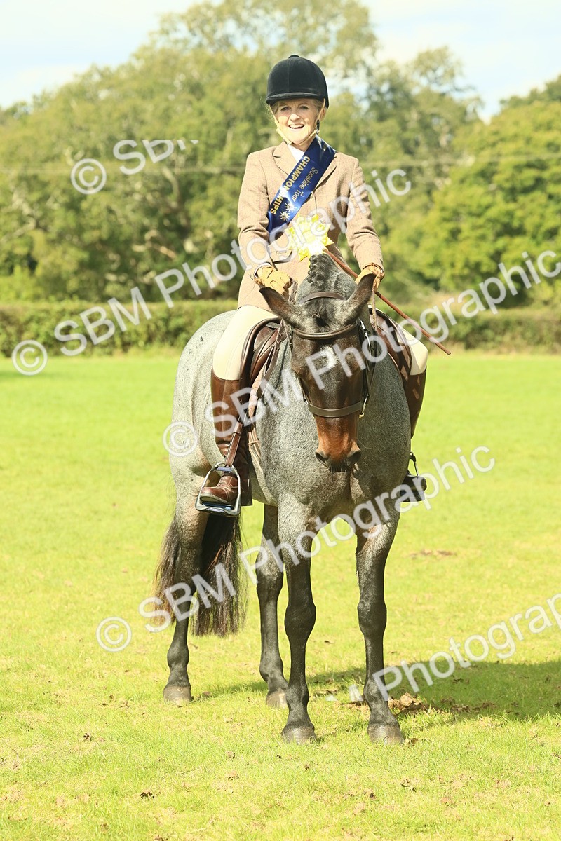 SBM_62690 - S63 - Other Coloured Horse Ridden