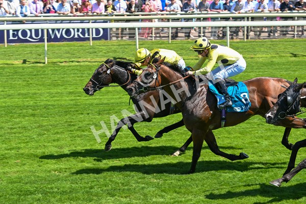 120725-Race 1-Remmooz-5521 - Race 1 2.00pm John Smith's Racing Handicap