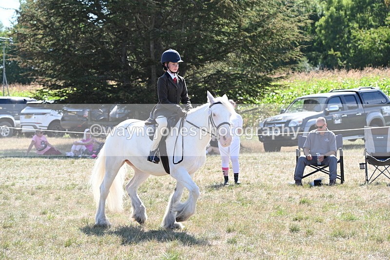 WJ6_8975 - Class 38 Ridden Riding Horse/Pony
