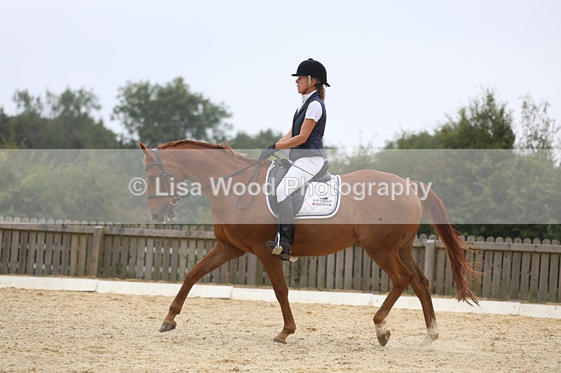 3E7A7421 - Class 9: Elementary 4 2024 - No sections