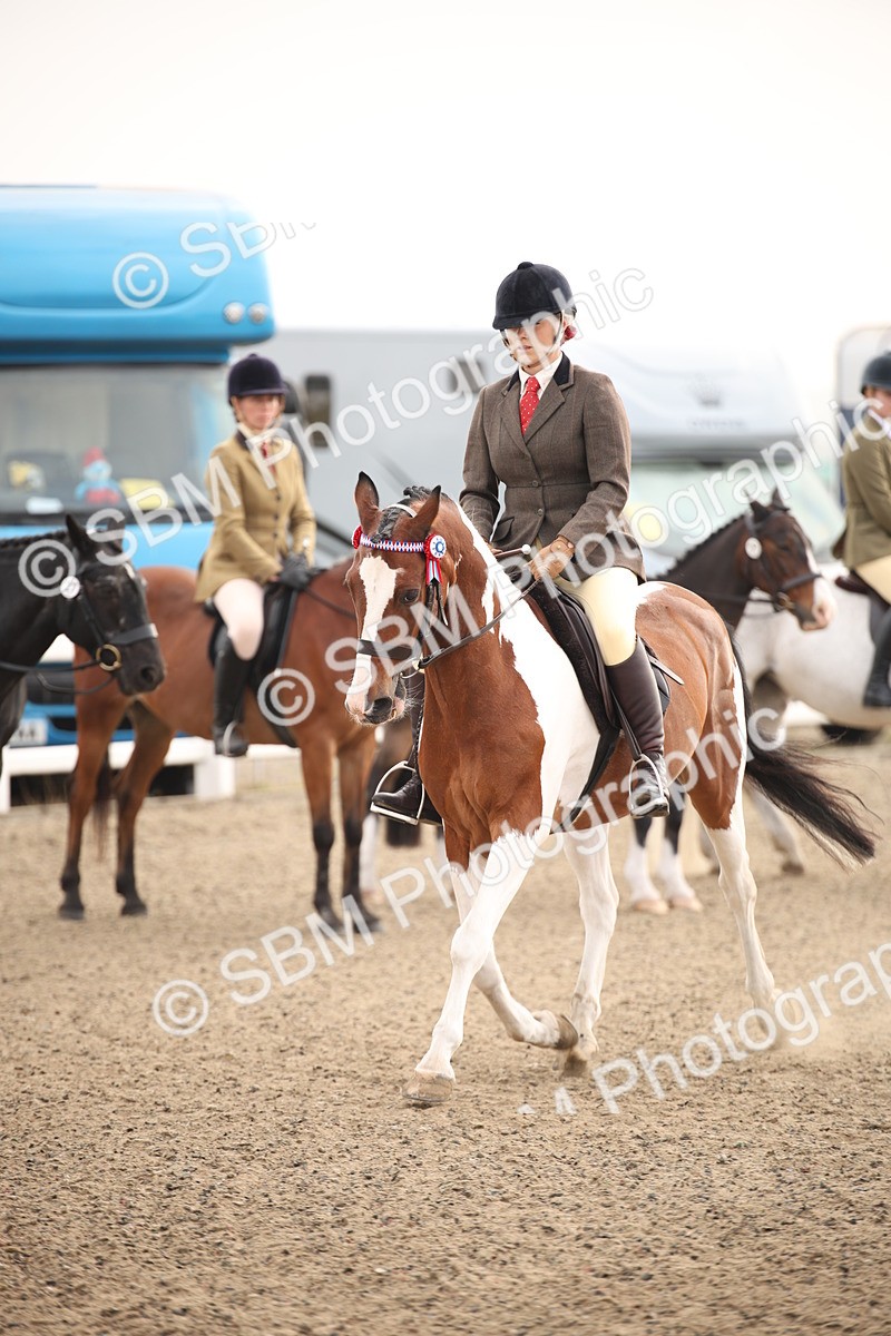 SBM_09736 - Class 401 Riding Club Pony