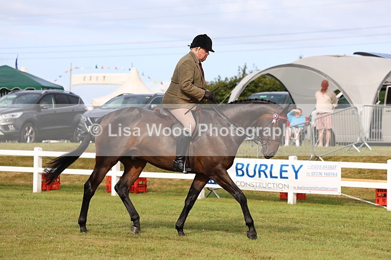 3E7A7983 - Class 2: Rising Star Large Hack/Riding Horse