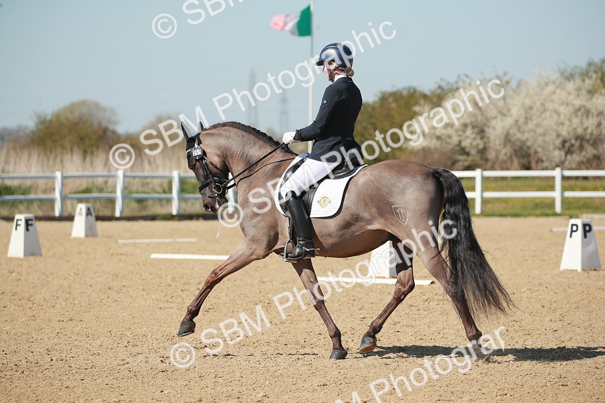 SJ3_1590 - Class 2-5-4-6-7 - Paso Doble-Golega-Sevilla-Lisboa-Novato