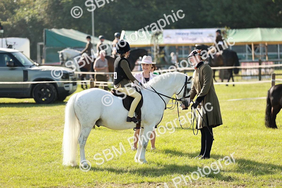 SBM_11249 - Class 106-107 - BSPS LIHS Working Sports Pony