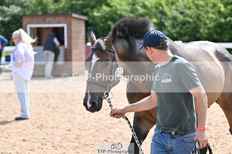 240717A-153933-02952 - Trot Up 3pm to 4pm