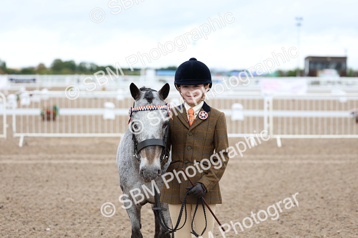 SBM_00260 - Class 13 - Young Handler