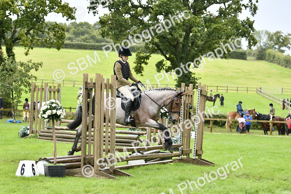 SBM_41460 - S32 - Mountain & Moorland Working Hunter Pony