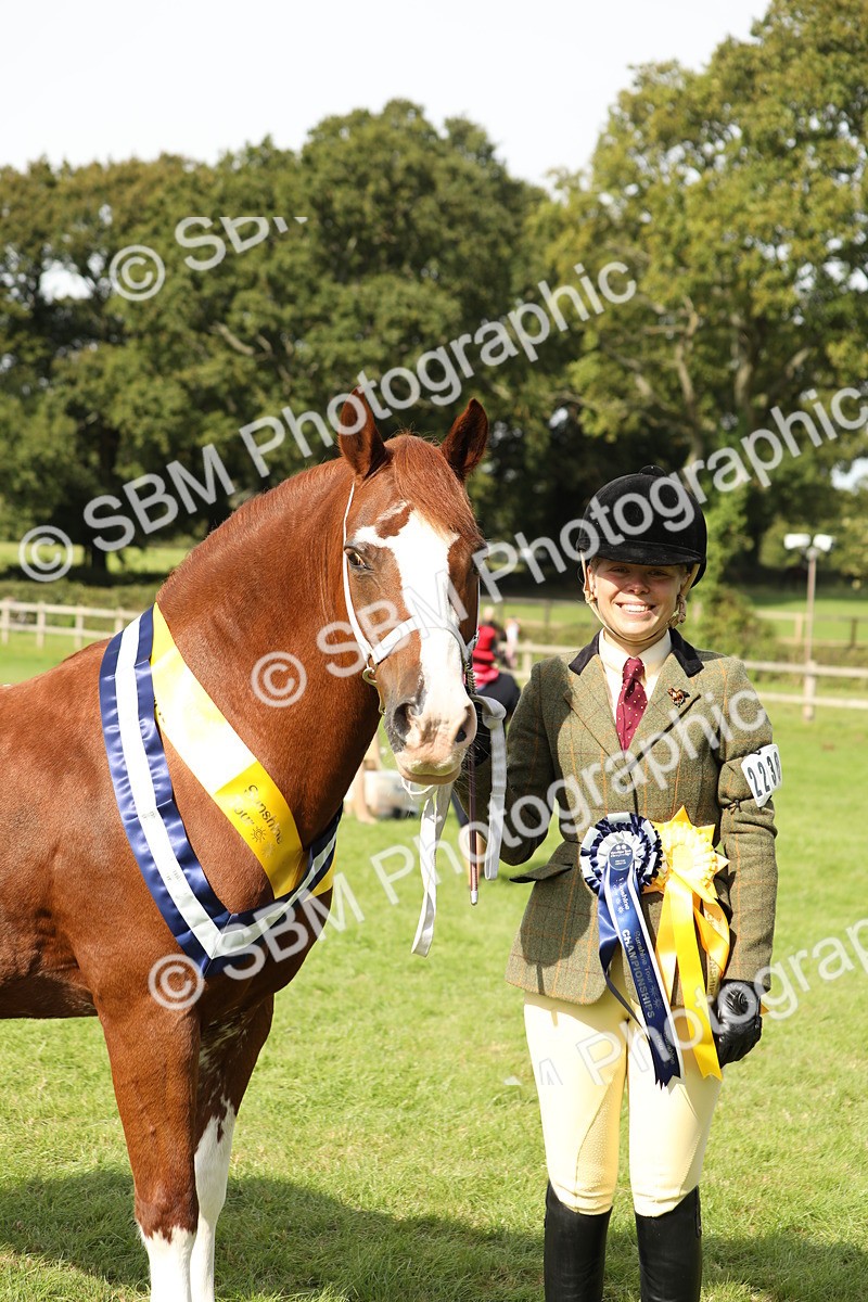 SBM_66374 - In Hand Pony & Youngstock Supreme Championship