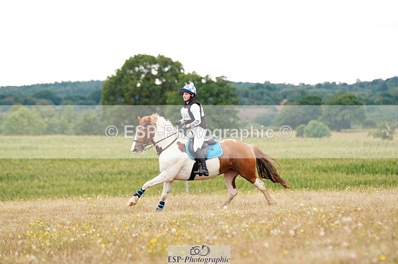 250803A-114640-11544 - L-524-Jacky.Jones-I.FOUND.NEMO