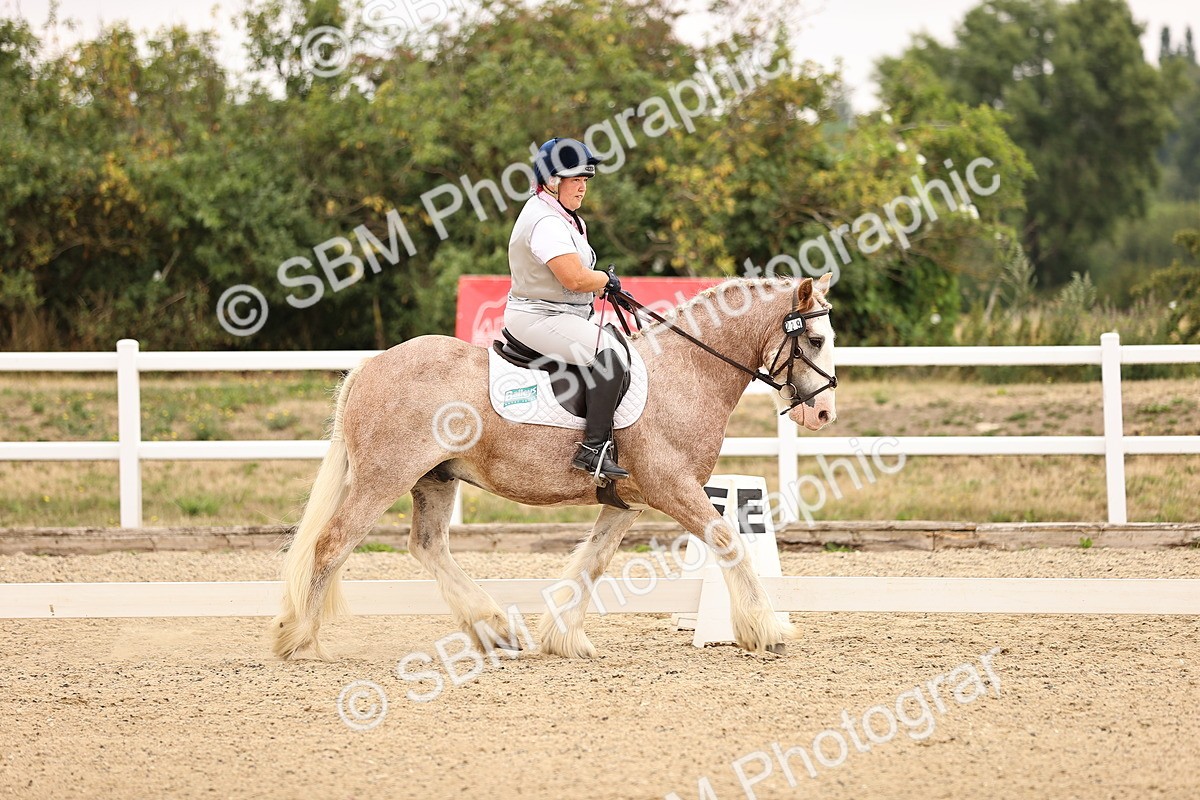 SBM_006418 - Intro 3 - 9.46-10.46