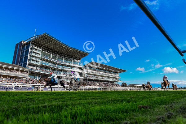 141023-Race 6-Punctuation-4111 - Race 6 4.10pm Coral Get Closer To The Action Handicap