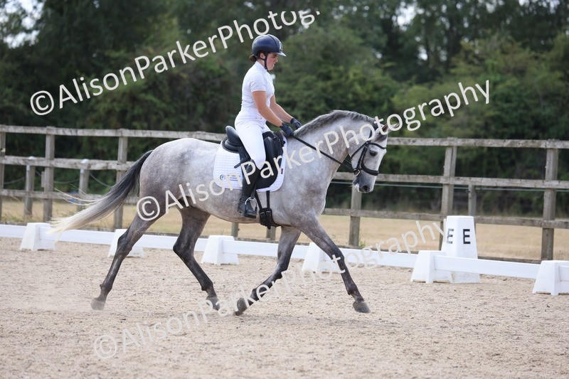 20260805-0700 - Class 5 - Novice 2