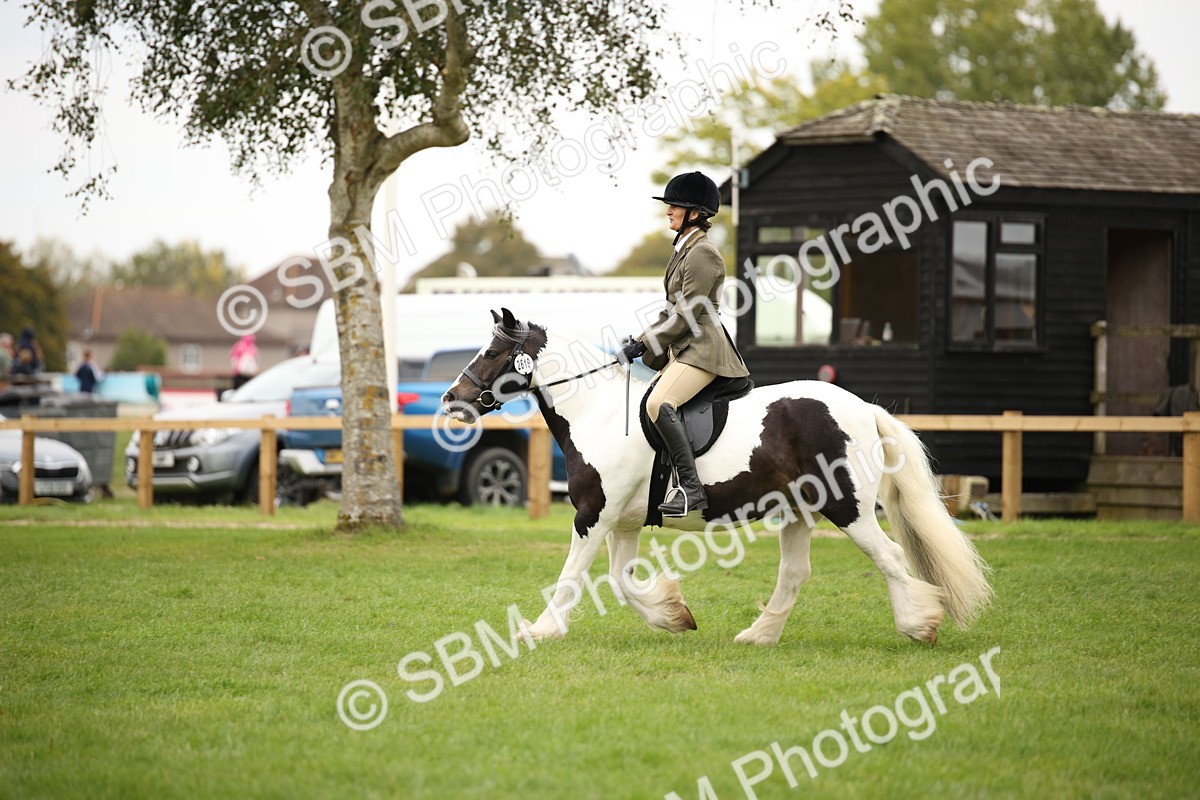 SBM_73554 - S68 - Traditional Cob Ridden