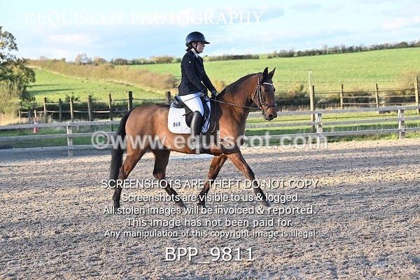 BPP_9811 - SHORT ARENA