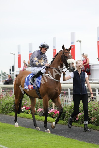 yr23072022r2-8 - Race 2 2.40pm Sky Bet Dash