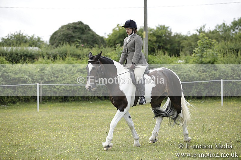 BVR160717-1889 - Ring 1 BVRC Show 16/07/17