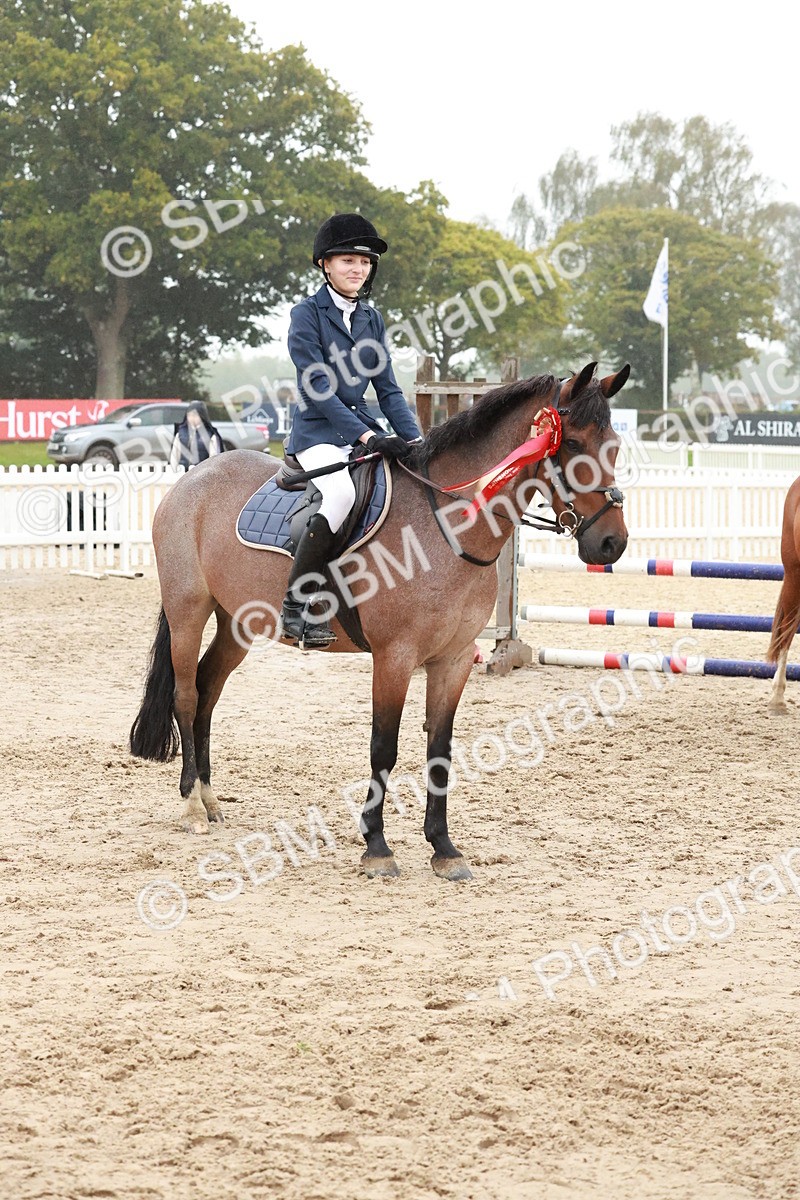SBM_73563 - Supreme Championship Junior Pony 60cm & 65cm