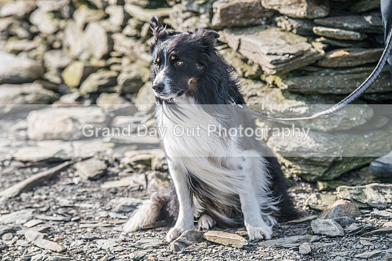 Black Combe-2414 - Black Combe Fell Race Saturday 7th March 2026