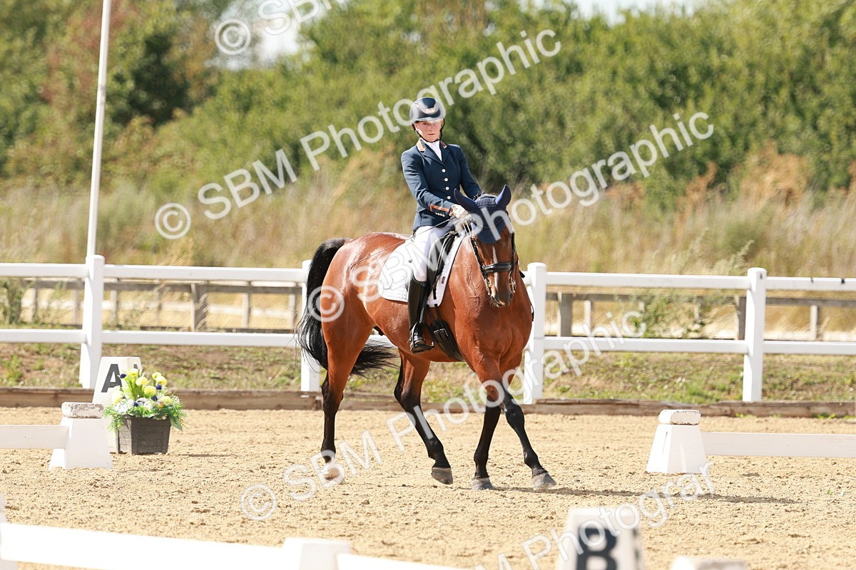 SBM_002493 - Class 11 - Medium 6