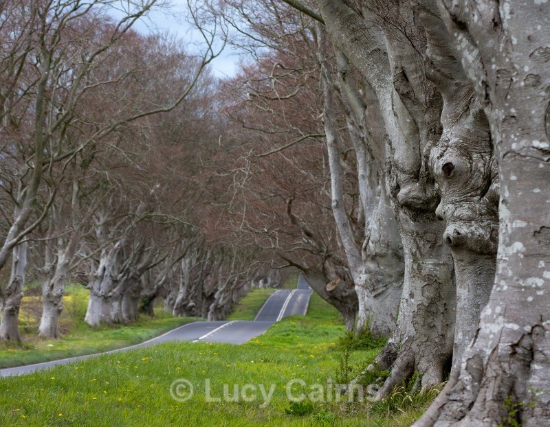  - Dorset - Photography Workshop