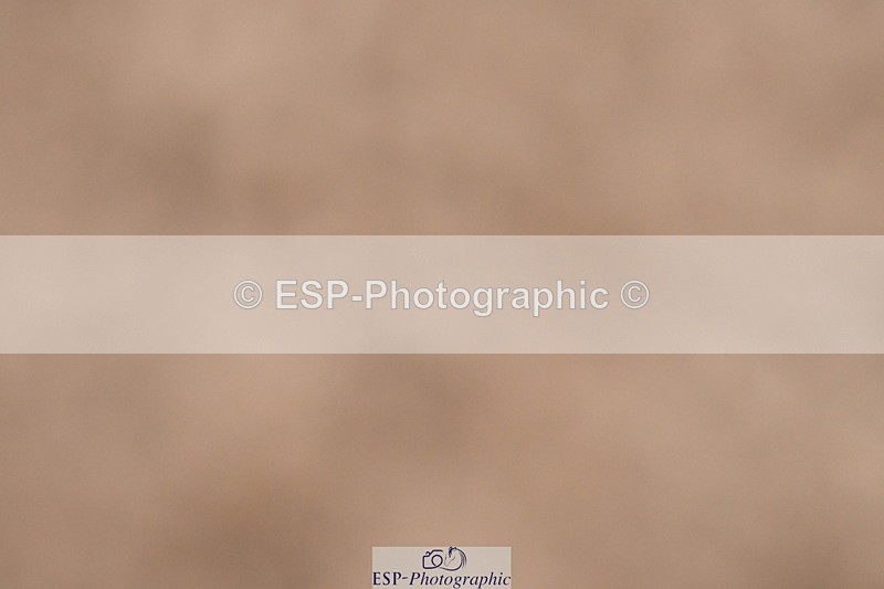 231217A-120051-00886 - Unaffiliated Classes