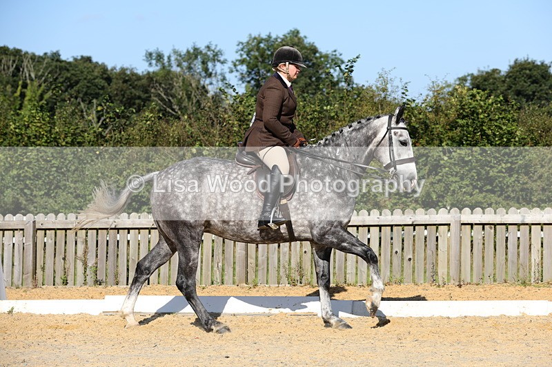 1X9A7671 - Class 8: Small Ridden Hunter