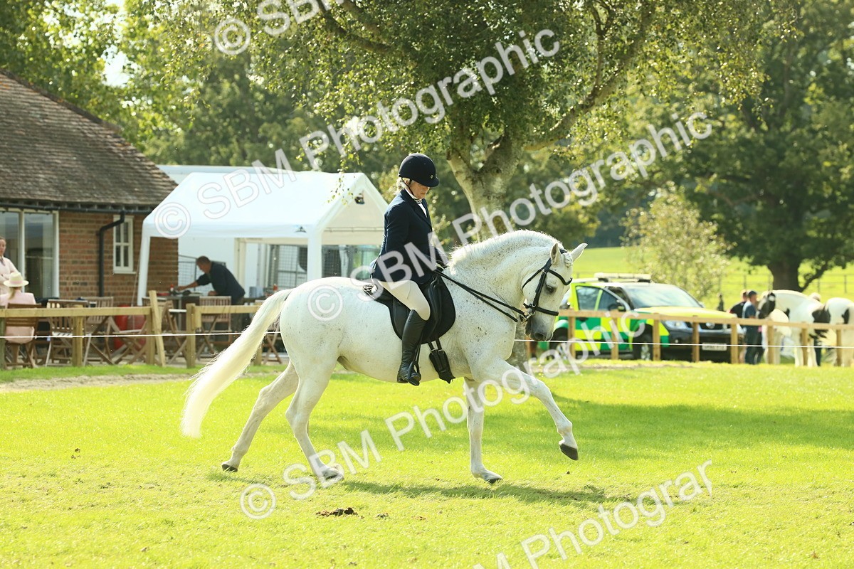 SBM_62398 - S62 - Foreign Breeds Ridden