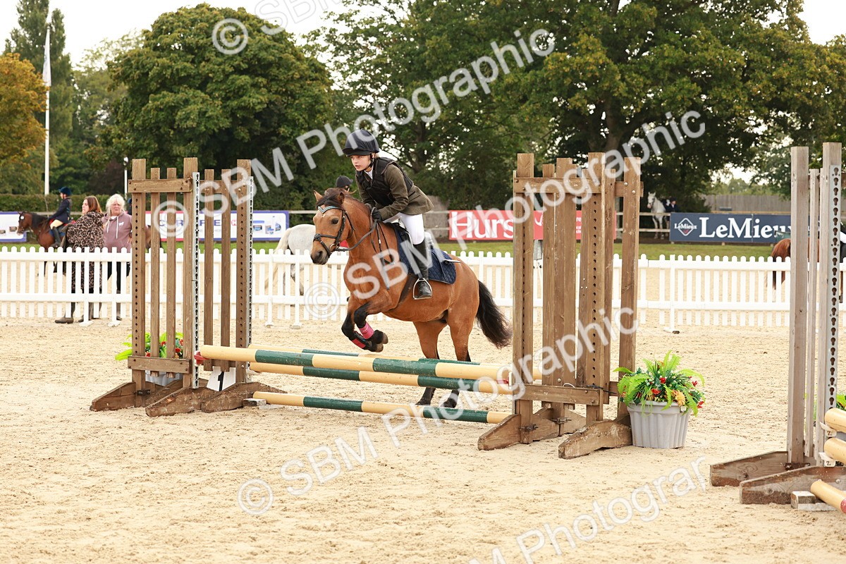 SBM_57608 - J11 - Junior Pony 50cm Championship