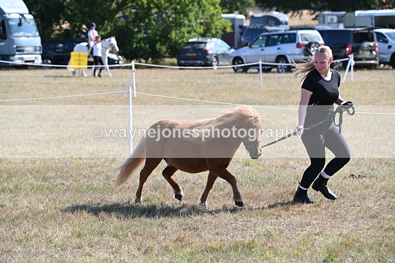 WJ6_7274 - Class 33 Rescue Pony