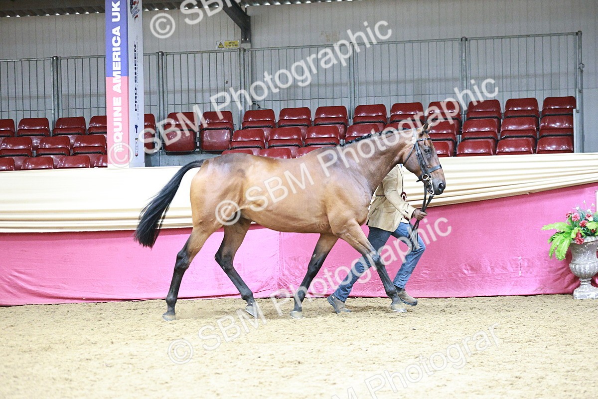 SBM_06631 - Regional - IH Champs