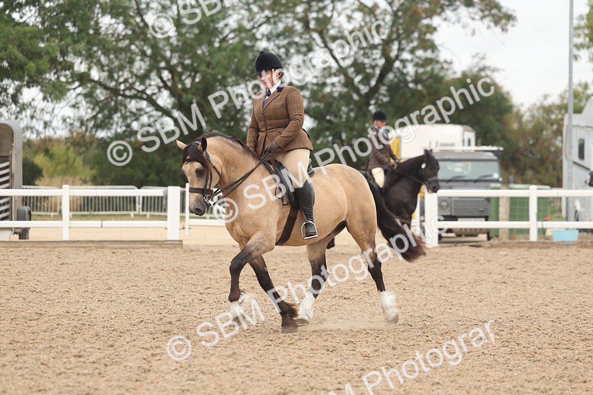 SBM_01896 - Class 14 - Ridden M&M Wildcard