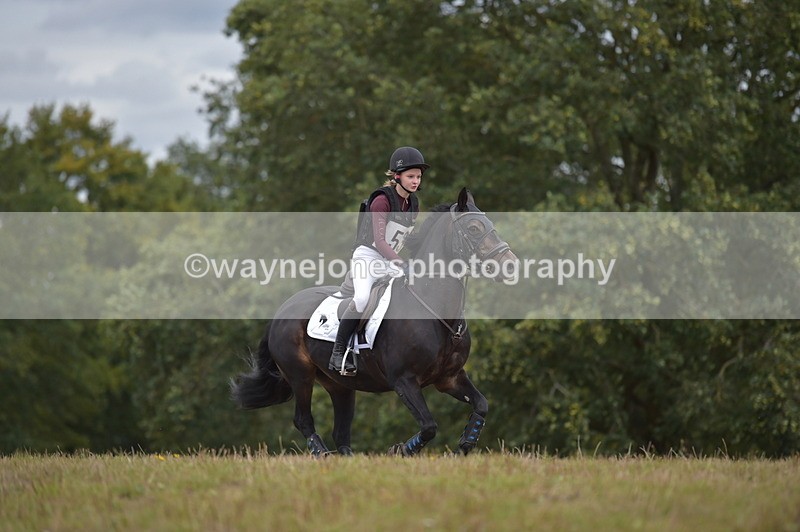 NGP_1954 - XC Time 11:20 to 11:36