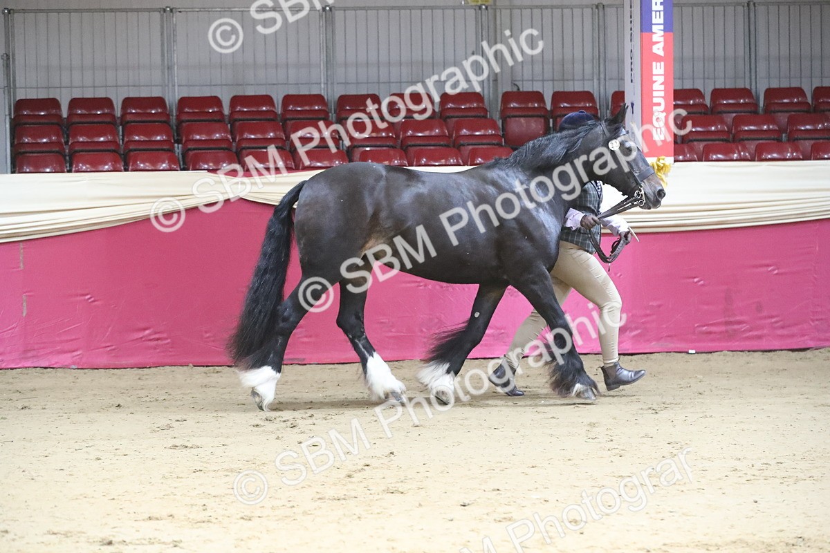 SBM_00537 - class 2a Area IH Veteran