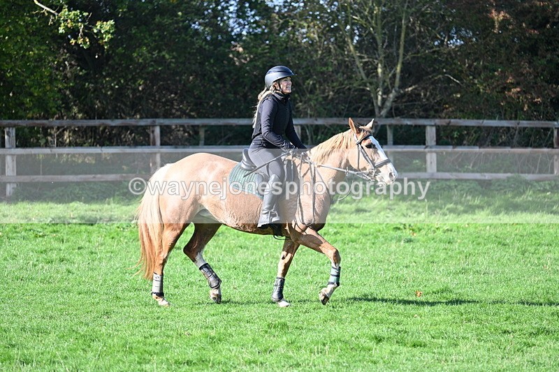 WJ7_7368 - Time 10:30 to 11:38